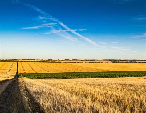 Ex-Bauernpräsident Kliem verkauft Großbetrieb komplett an Aldi-Erben ...