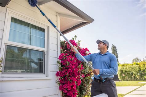 Termite Control Atlanta, GA - Brooks Pest Solutions