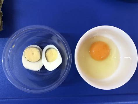 生鸡蛋和熟鸡蛋的区别（生鸡蛋和熟鸡蛋的区别是什么）