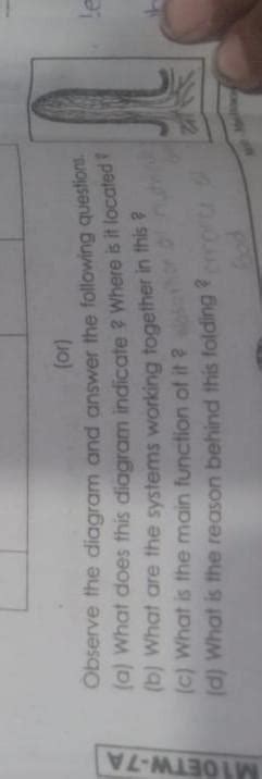 Observe the diagram and answer the located? (a) What does this diagram ...