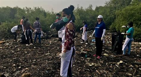 Mumbai Mangroves: Sentinels Await Execution