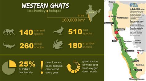 Western Ghats Biodiversity Hotspot Animals