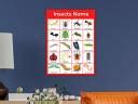 Insects Names with Pictures | Poster for Kids Learning, Kindergarten ...