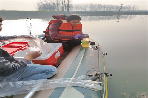 Sustainable Management and Remediation Technologies for Water Resources ...