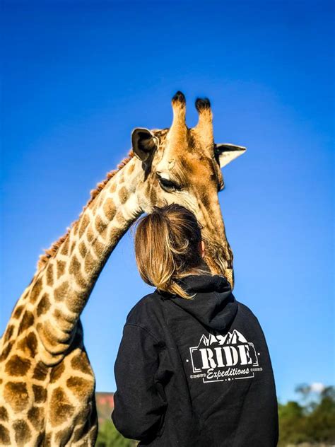 Corporate t-shirts for Men and Women in India