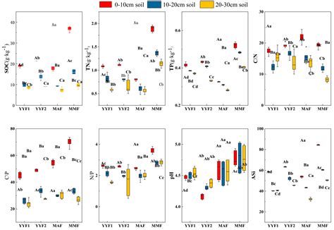 Age-Class-Based Thinning Affects Soil Fertility and Understory ...