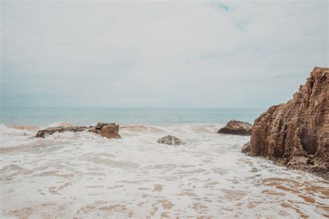 Image result for Spring Break Train