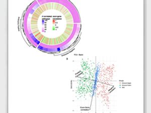 CBIIT Cancer Data Science Pulse Blog - NCI
