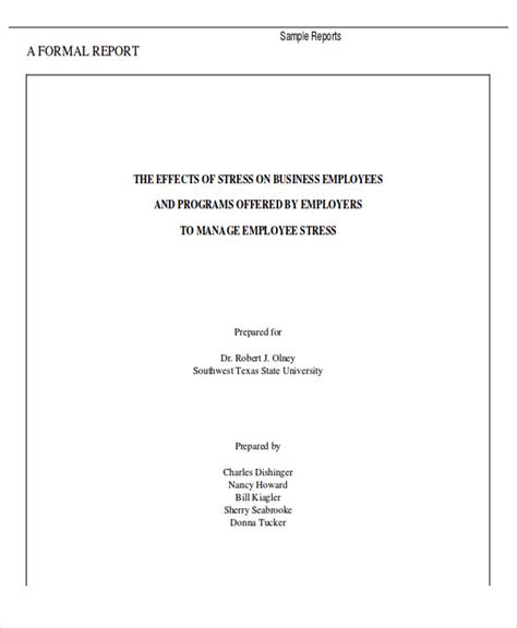 Report Format Example 的图像结果