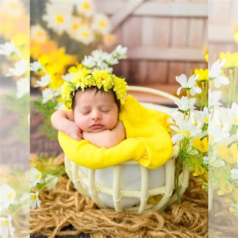 Cuddle Basket – Madras Prop Store