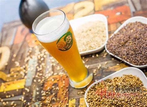 青岛啤酒-精酿新品招全国区县代理说明会 预约报名-十万加活动-活动行