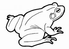 frosch bilder malvorlagen ausmalbilder frosch kostenlos malvorlagen zum ausdrucken frosch bilder malvorlagen ausmalbilder frosch kostenlos malvorlagen zum ausdrucken