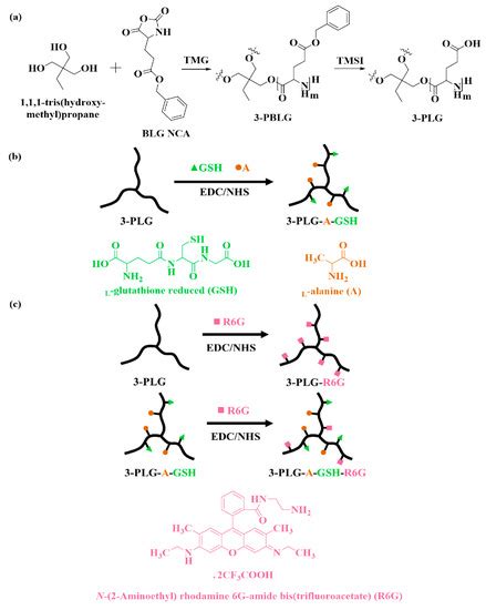 Targeting Human Endothelial Cells with Glutathione and Alanine ...