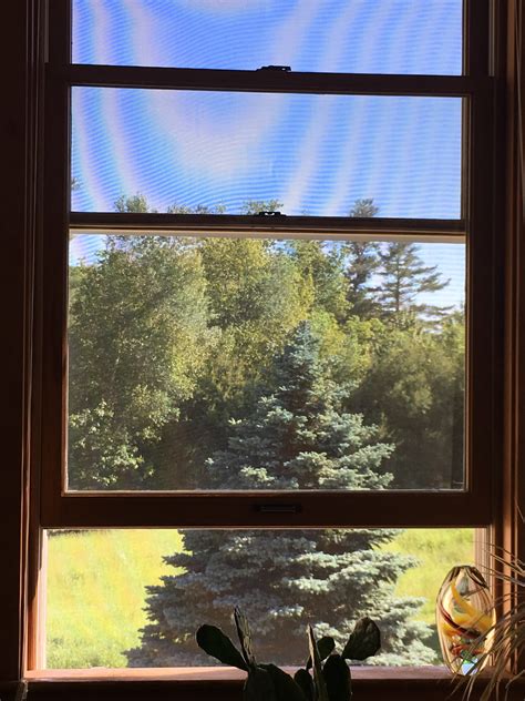 Image result for Beautiful Clean Windows