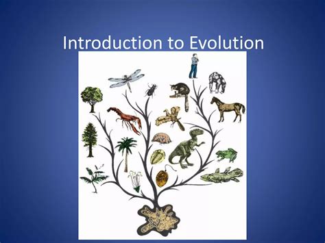 Image result for Evolution Introduction