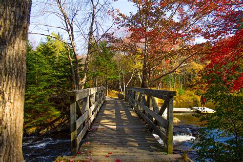 Local Resources 的图像结果