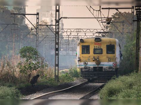 Background Images Local Train 的图像结果