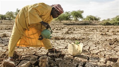 ONU ve inalcanzable el objetivo «hambre cero» para el 2030 | Meer