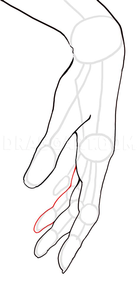 Image result for Trace Hand Drawing Using Illustrator