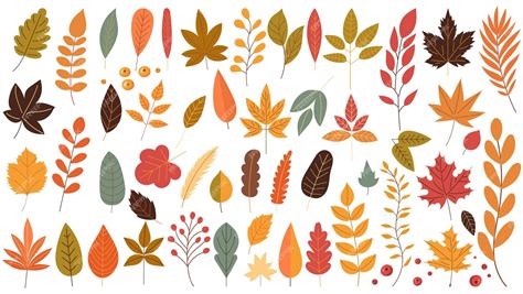 Top 30+ Free Autumn Leaves Elements Background Vector Set