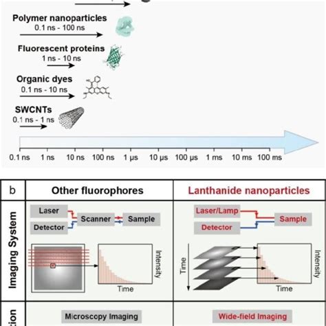 TCSPC Spectroscopy 的图像结果