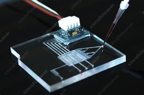 Image result for Lab On a Chip How It Works