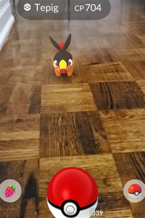 Image result for Pokemon Go Computer