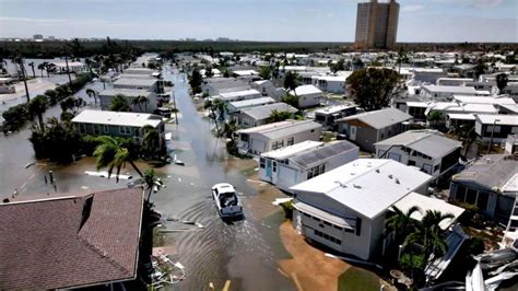 Image result for Florida Python Problem