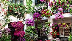 piante fiorite da terrazzo 10 fiori da balcone primaverili come scegliere quelli giusti piante fiorite da terrazzo 10 fiori da balcone primaverili come scegliere quelli giusti