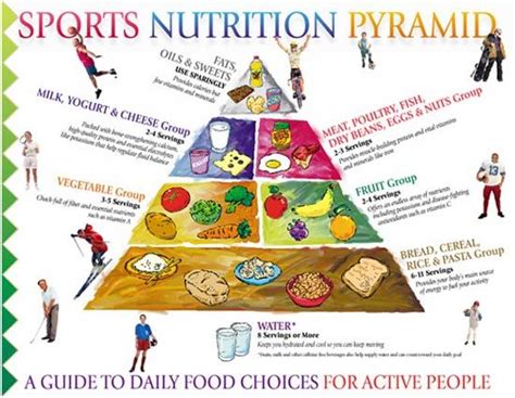 concept of nutrition and sports nutrition