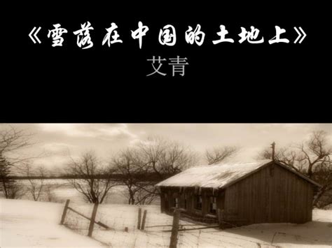 《雪落在中国的土地上》全诗写了什么内容？表达了诗人怎样的感情？诗歌选取了哪几类人作为描写对象来表现_百度知道