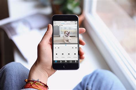 Network Security Camera Software 的图像结果