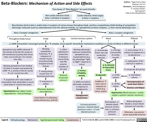 Beta-Blockers-Mechanism-of-Action-and-Side-Effects | Calgary GuideCalgary Guide