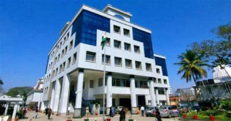 Gauhati High Court Dismisses Petition on Alleged Custodial Deaths in Assam