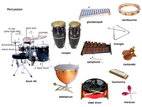 Image result for Concert Band Percussion Instruments