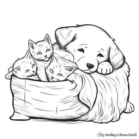 Free printable coloring pages kittens and puppies, Download Free ...