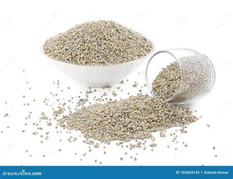 Pearl Millet or Bajra stock image. Image of background - 105604165