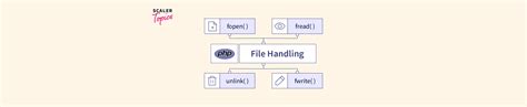 Image result for File Handling in Web Development