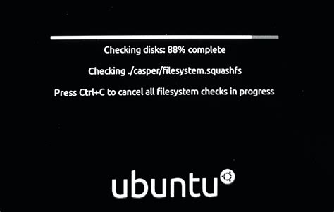 Image result for Windows 11 Pro and Linux Dual Boot