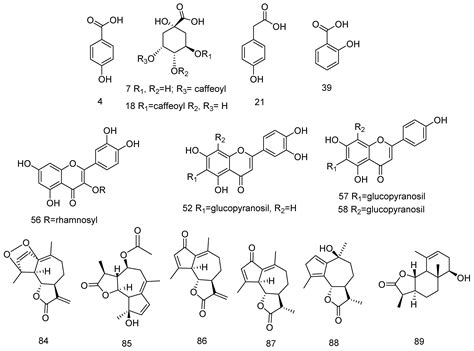 UHPLC-MS Characterization and Biological Insights of Different Solvent ...
