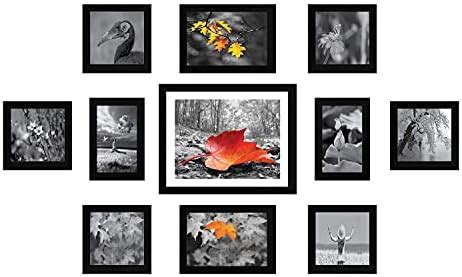 AJANTA ROYAL Individual Synthetic Polymer Wood Photo Frames For Wall ...