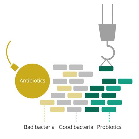 Velbiom- For a Better, Healthier Future