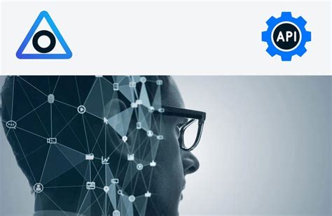 Image result for API Datastromen