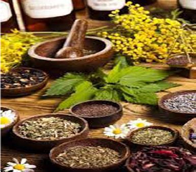 Herbal Extracts Supplier - Manufacturer of Herbal Extracts ...