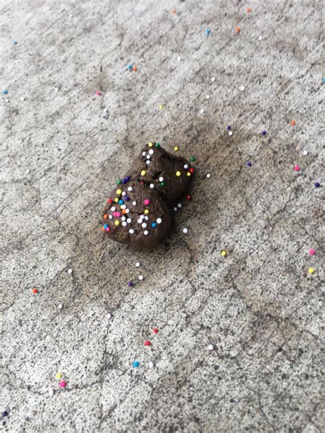 Image result for Poop Bandit