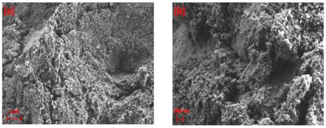 High-Resolution SEM and EDX Characterization of Deposits Formed by CH4 ...