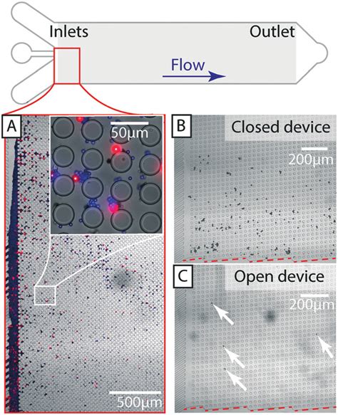 Rezultat imagine pentru Open DLD File