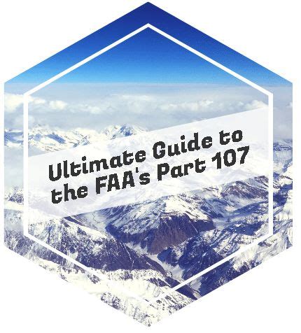 Faaa 107 Tutorial 的图像结果