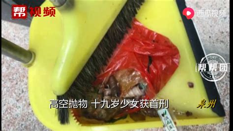 19岁女子吃完夜宵懒得下楼扔垃圾，成泉州高空抛物获刑责第一人 - 哔哩哔哩