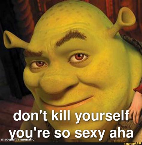 Don't kill yourself you're so sexy aha - iFunny